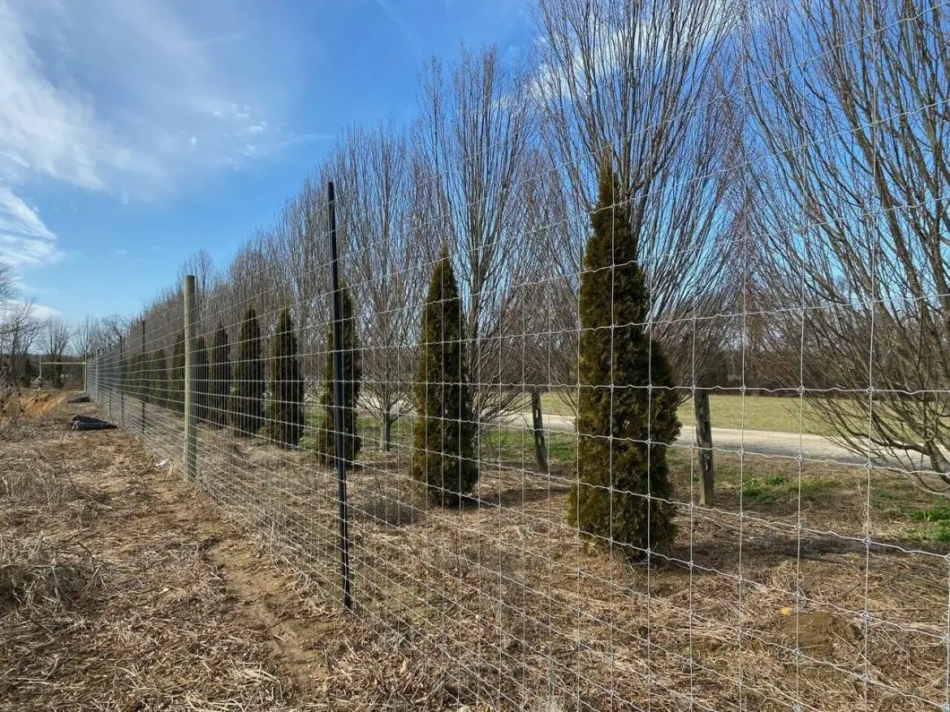 Pasture Fence Metal Field Fence Stock Proof Field Fence for Sale